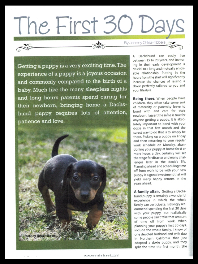 Doxie Digest Article by: Johnny Ortez-Tibbels ©