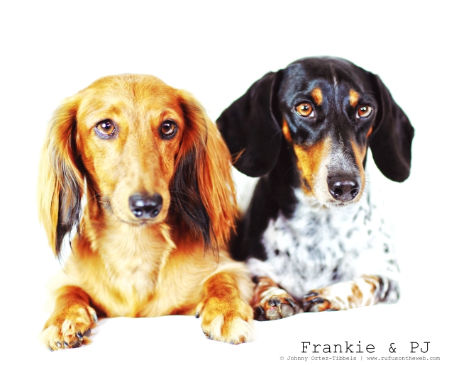 Frankie & PJ | August 2014.  Photo by: Johnny Ortez-Tibbels ©