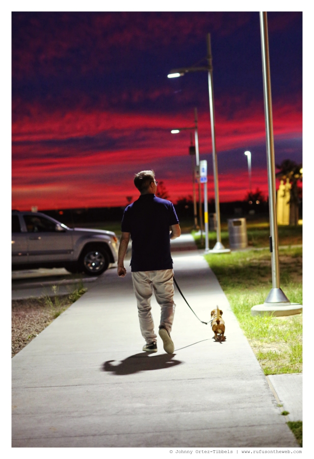 Rufus & his human | October 2014.  Photo by: Johnny Ortez-Tibbels ©