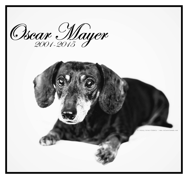 Oscar Mayer Tribute | September 2015.  Photo by: Johnny Ortez-Tibbels ©